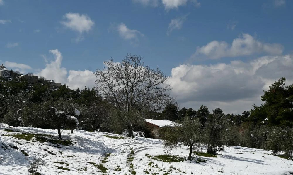 Ξεκίνησε να θυμίζει «χειμώνα»: Έπεσαν τα πρώτα χιόνια στη Λάρισα